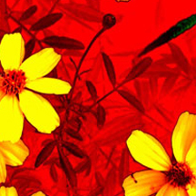 企业效能提升的DDOS攻击平台